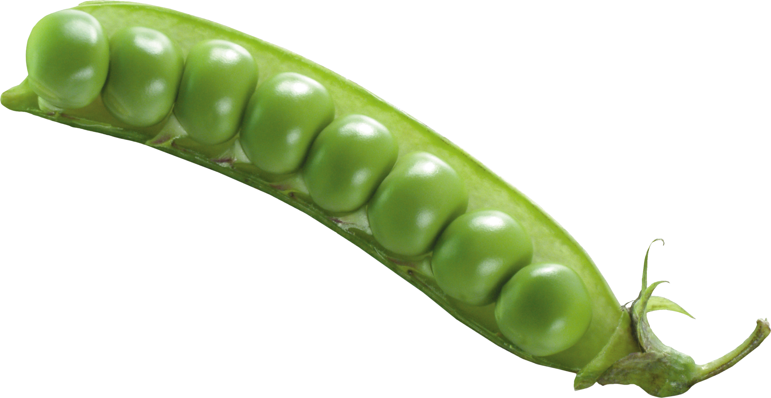 Fresh Green Pea Free Transparent Image HQ Transparent PNG Image