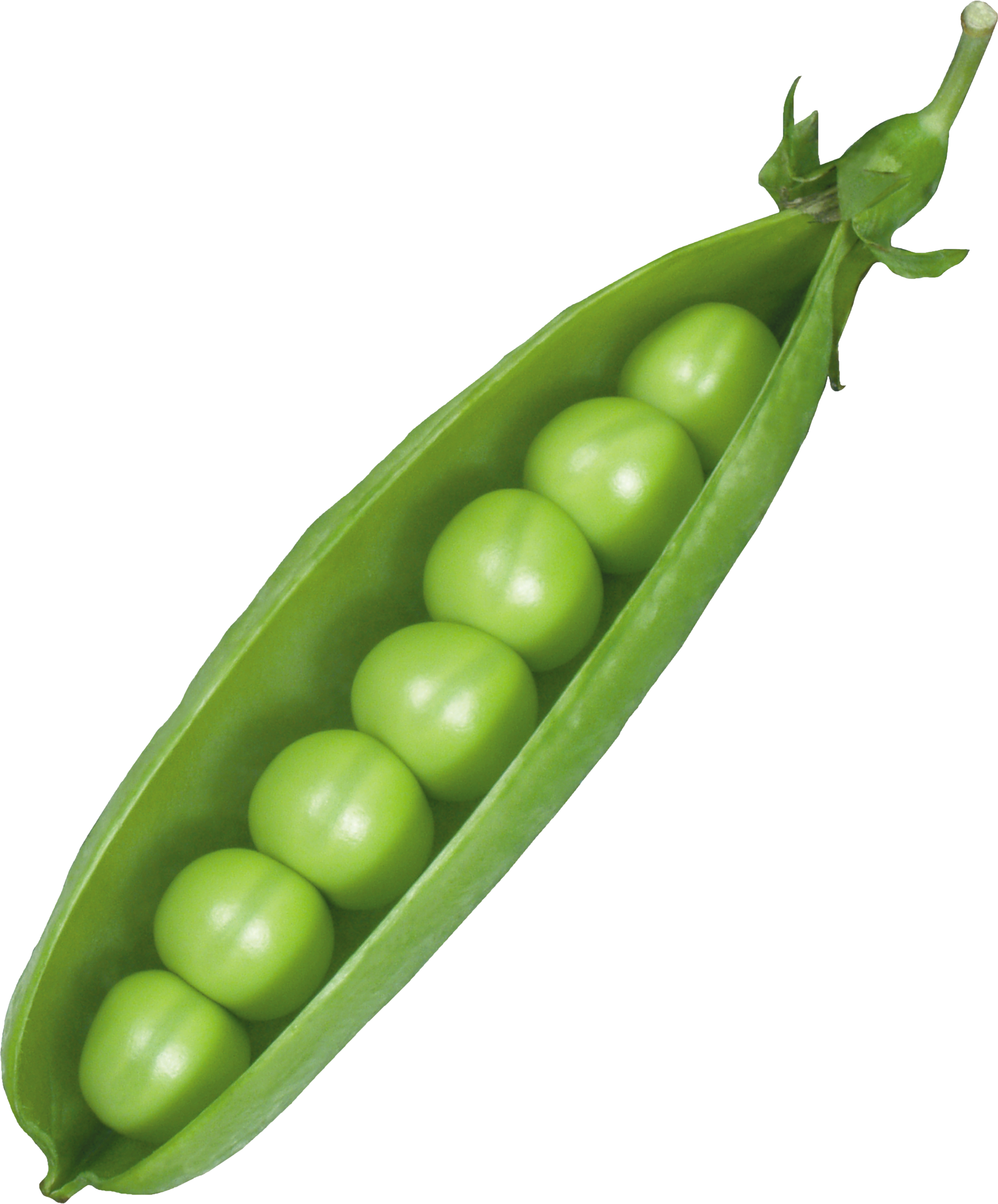 Fresh Green Pea Photos Download HD Transparent PNG Image