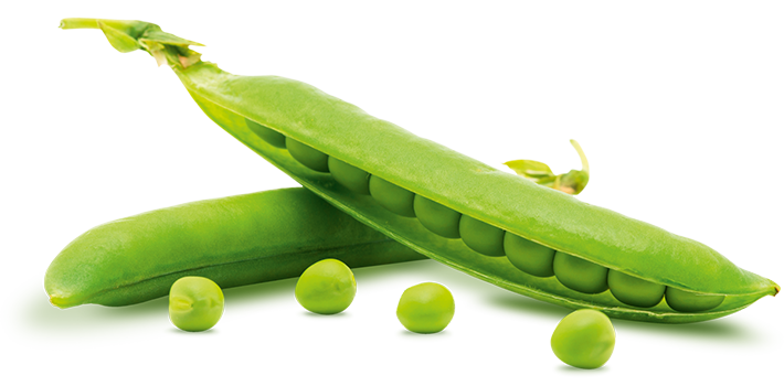 Fresh Green Pea Free HD Image Transparent PNG Image