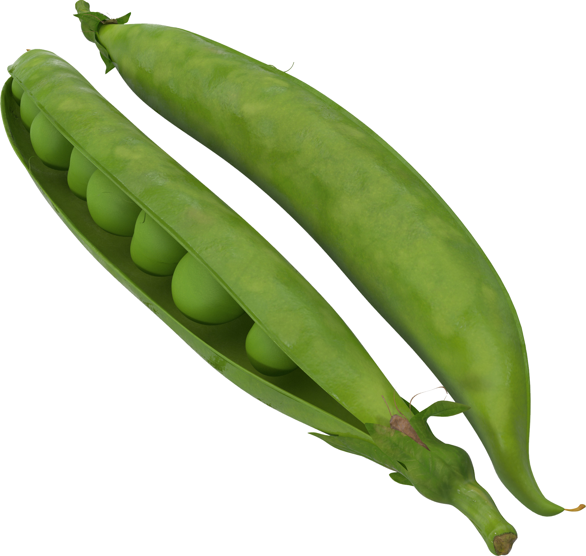 Green Pea Free Clipart HQ Transparent PNG Image