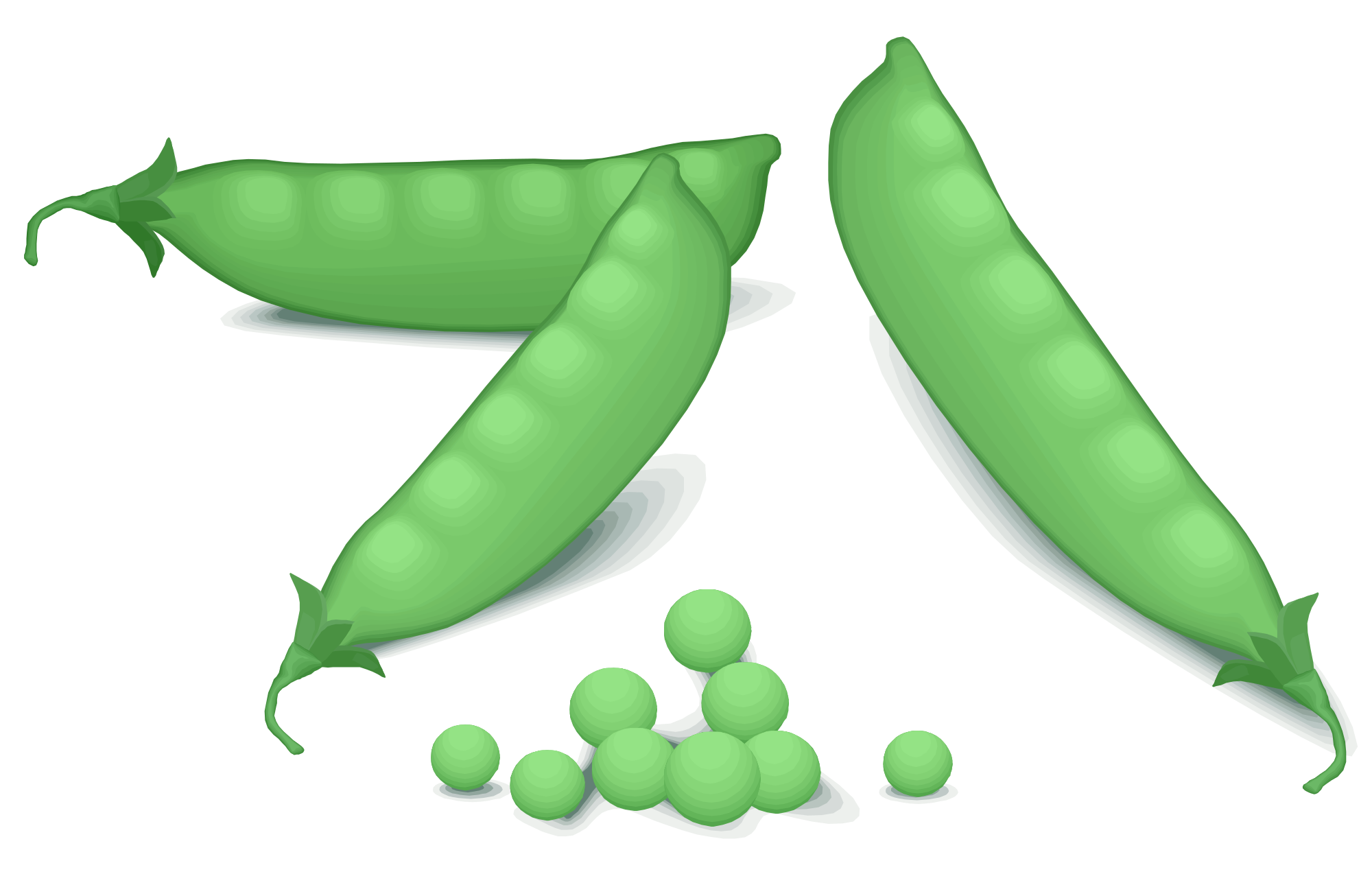 Green Pea Free Clipart HD Transparent PNG Image