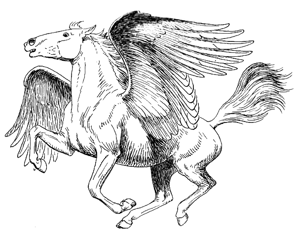 Pegasus Transparent Image Transparent PNG Image