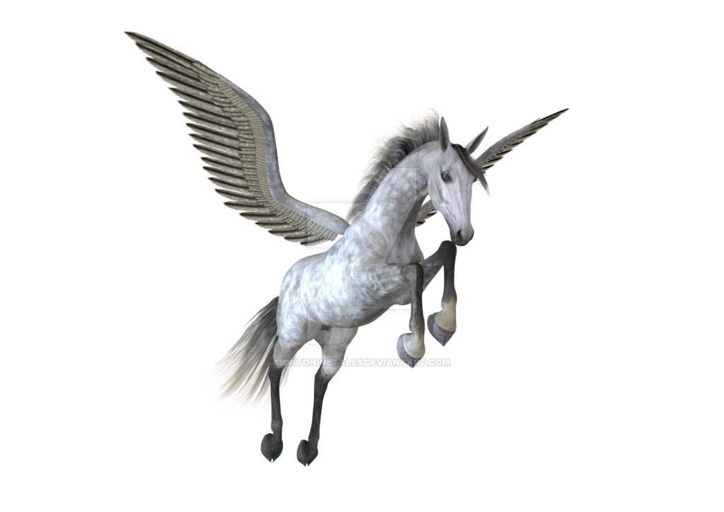 Pegasus Image Transparent PNG Image