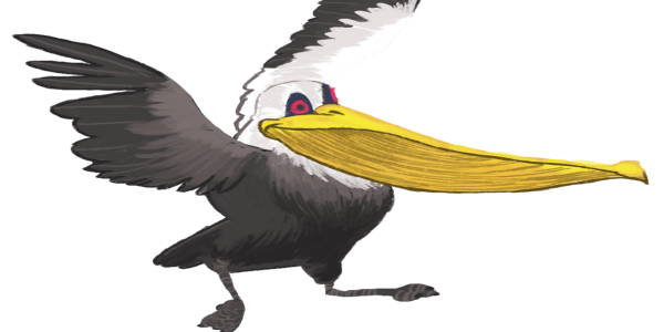 Pelican Png Hd Transparent PNG Image