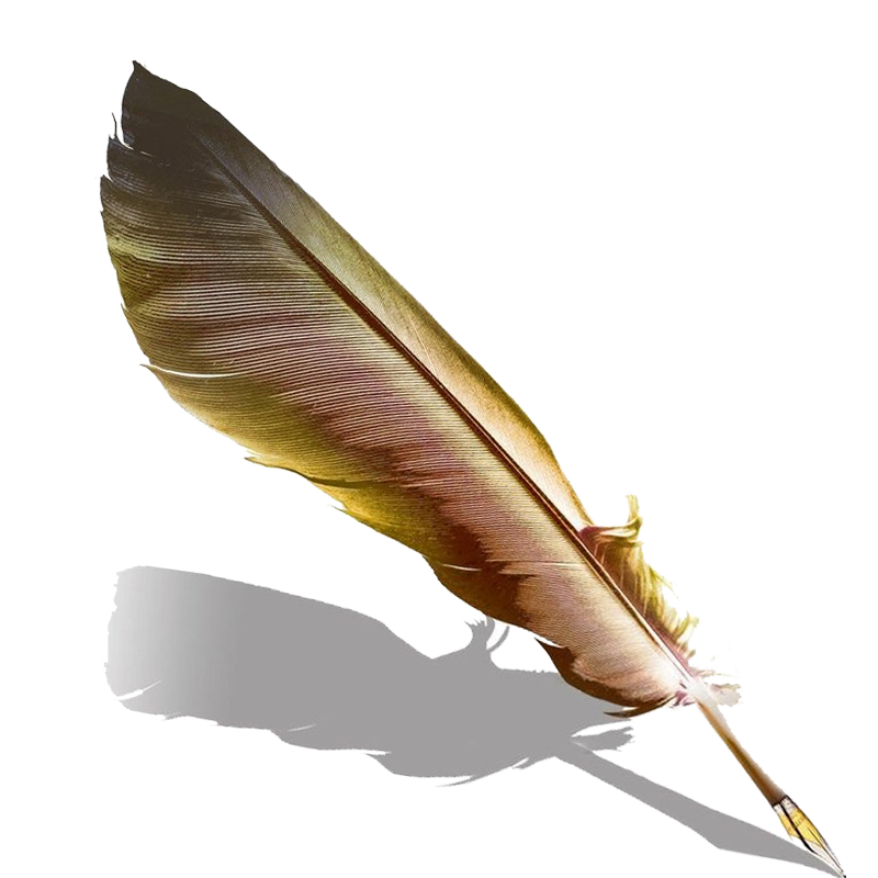 Pen Fountain Feather Quill HD Image Free PNG Transparent PNG Image