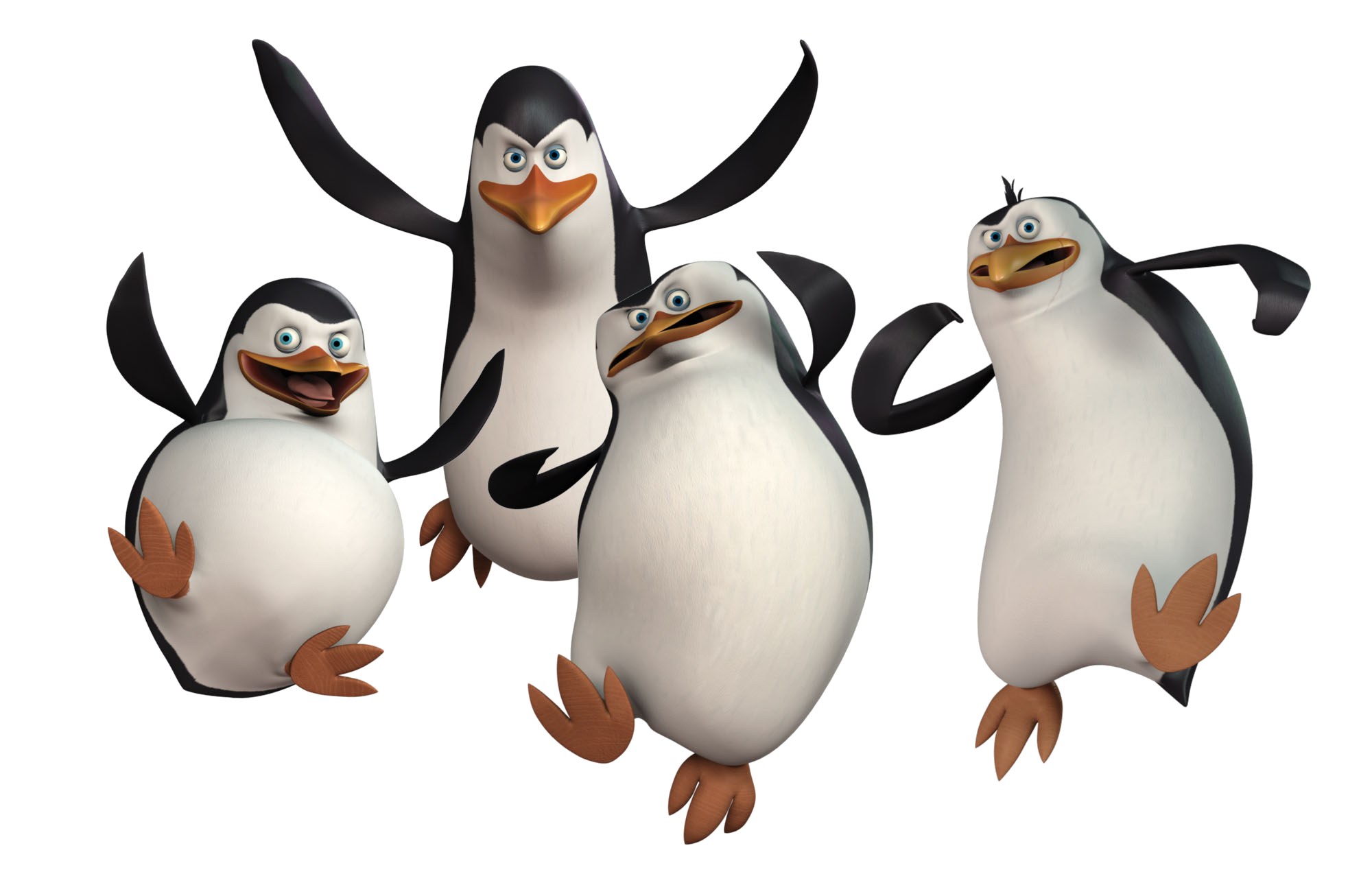 Penguin Png Hd Transparent PNG Image