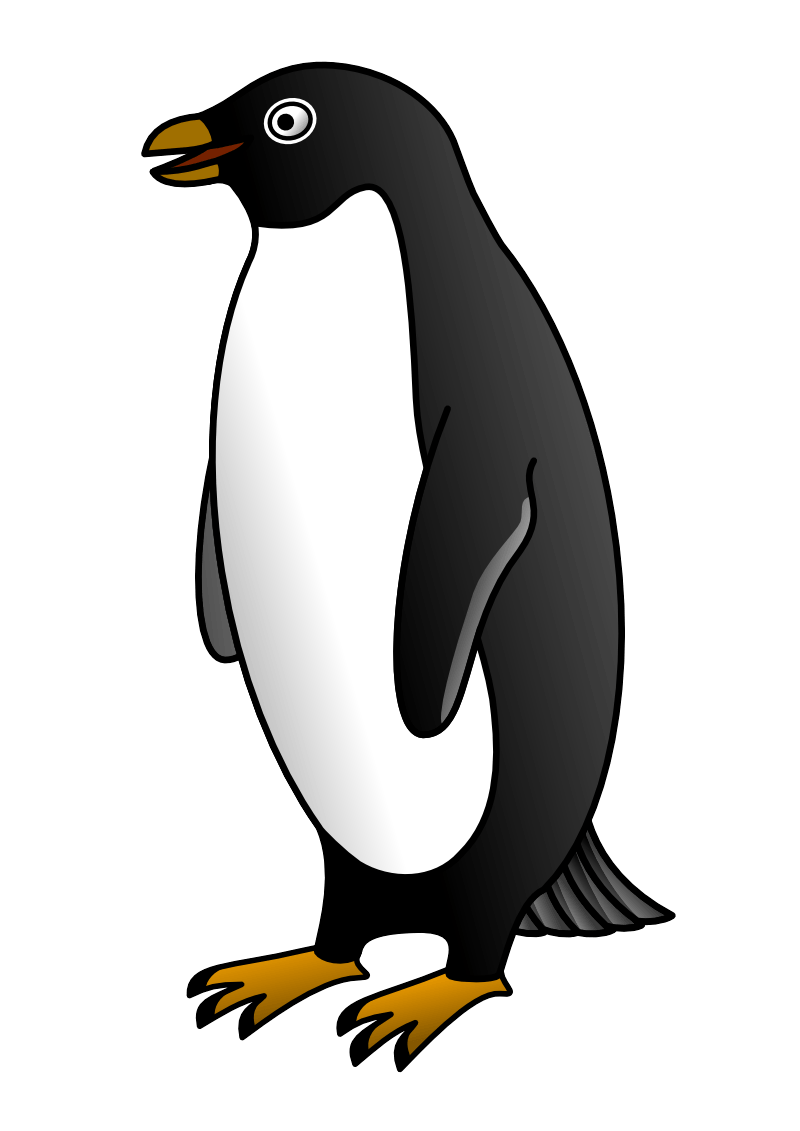 Penguin Png Image Transparent PNG Image