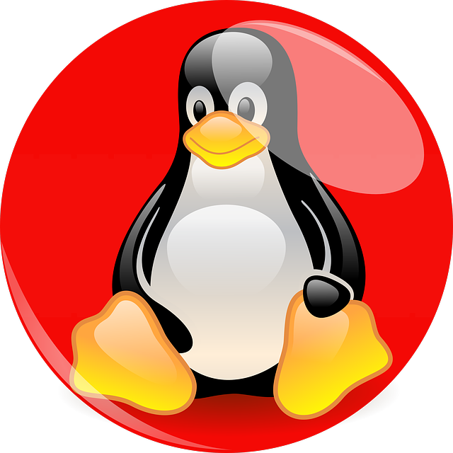 Kernel Foundation Fig Linux Distribution Penguin Transparent PNG Image