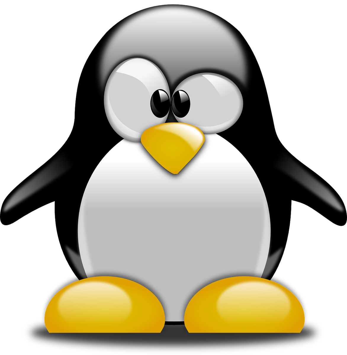 Tux Racer Linux Penguin Free PNG HQ Transparent PNG Image