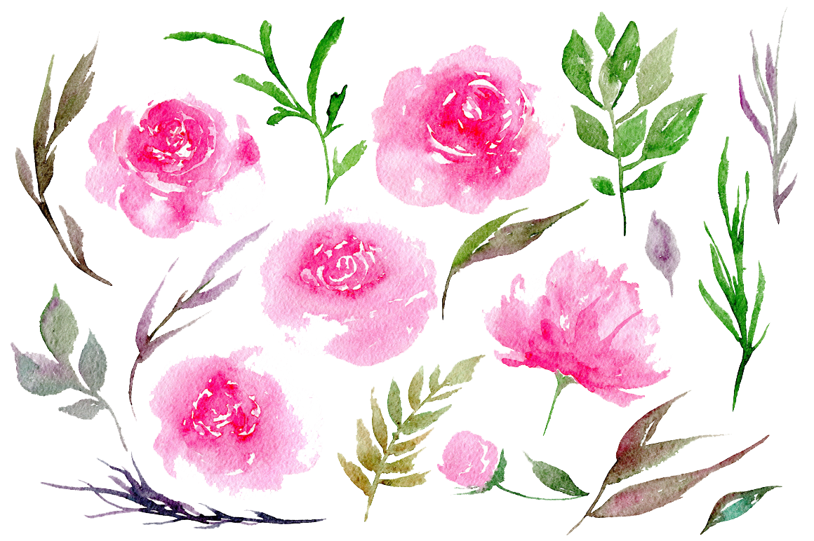 Peonies Clipart Transparent PNG Image