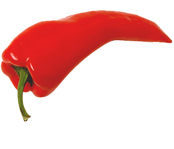 Pepper Png Picture Transparent PNG Image