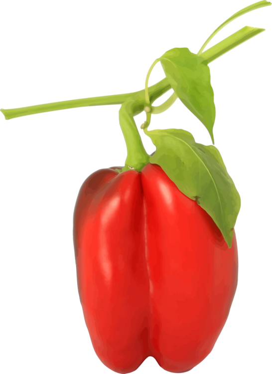 Pepper Leaves Red Bell Free PNG HQ Transparent PNG Image