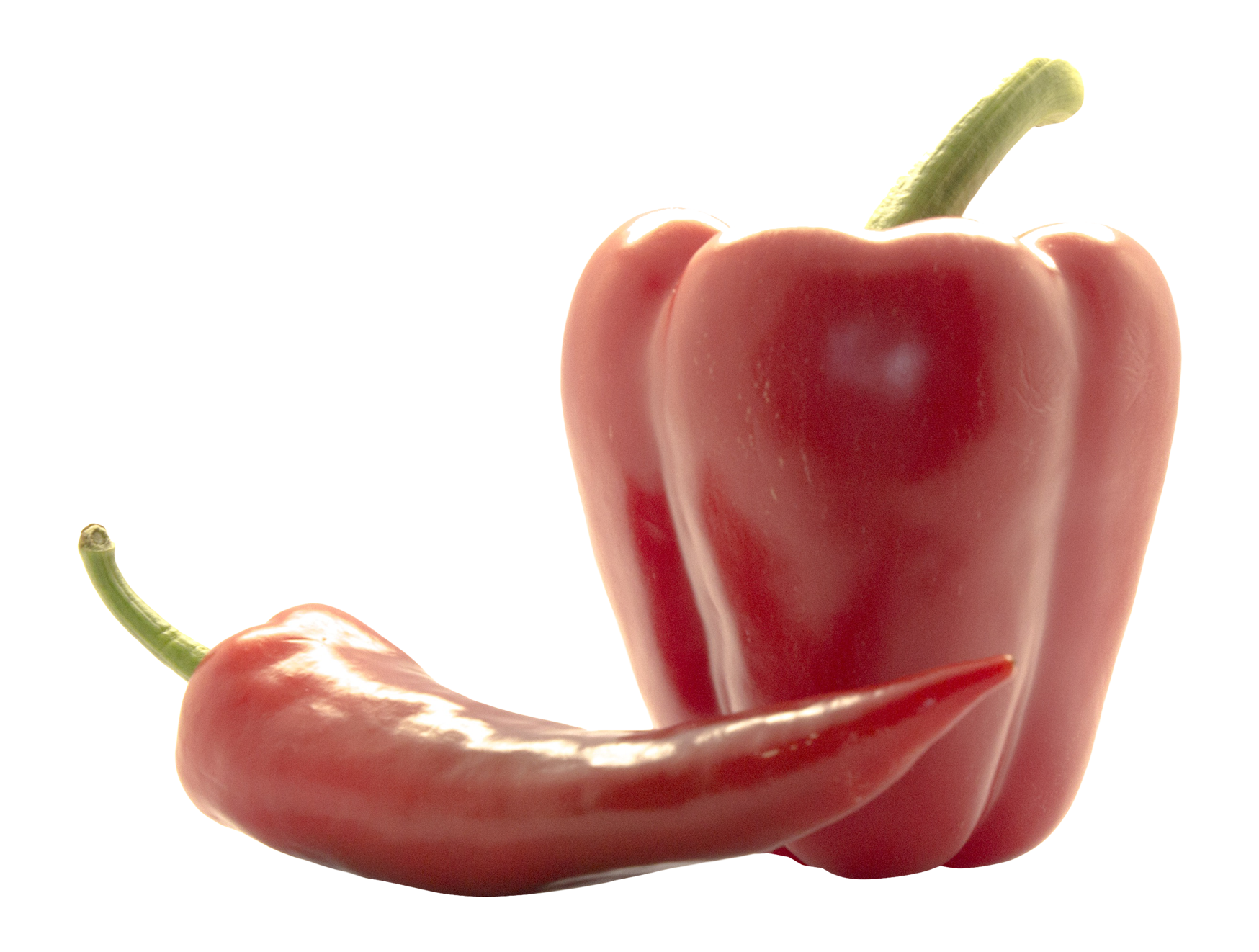 Chilli Pepper Bell PNG Download Free Transparent PNG Image