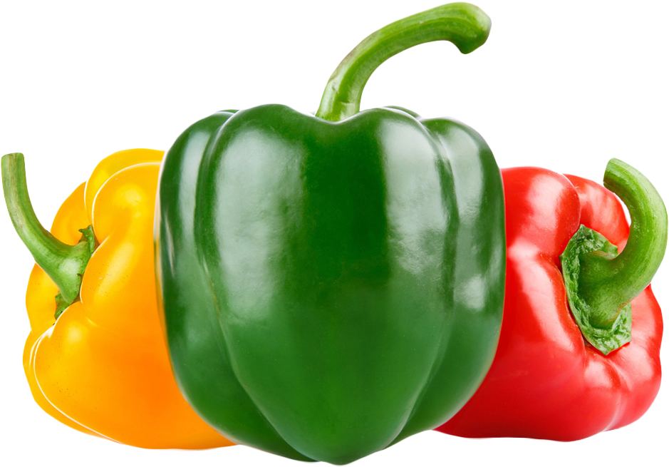 Capsicum Pepper Bell PNG Image High Quality Transparent PNG Image