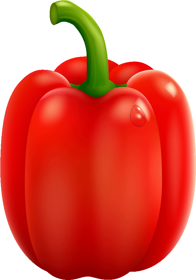 Capsicum Pepper Vector Red Bell Transparent PNG Image