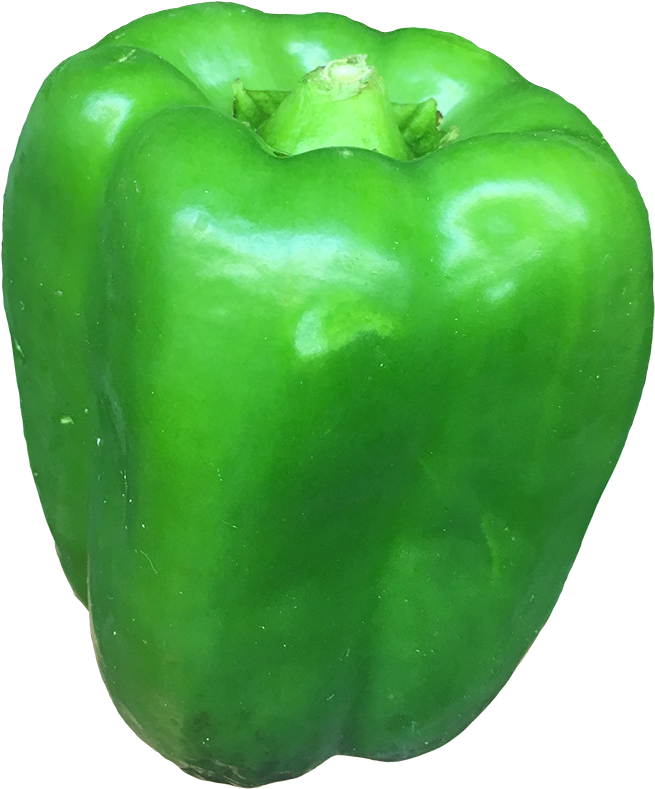 Fresh Pepper Green Bell Free Transparent Image HQ Transparent PNG Image