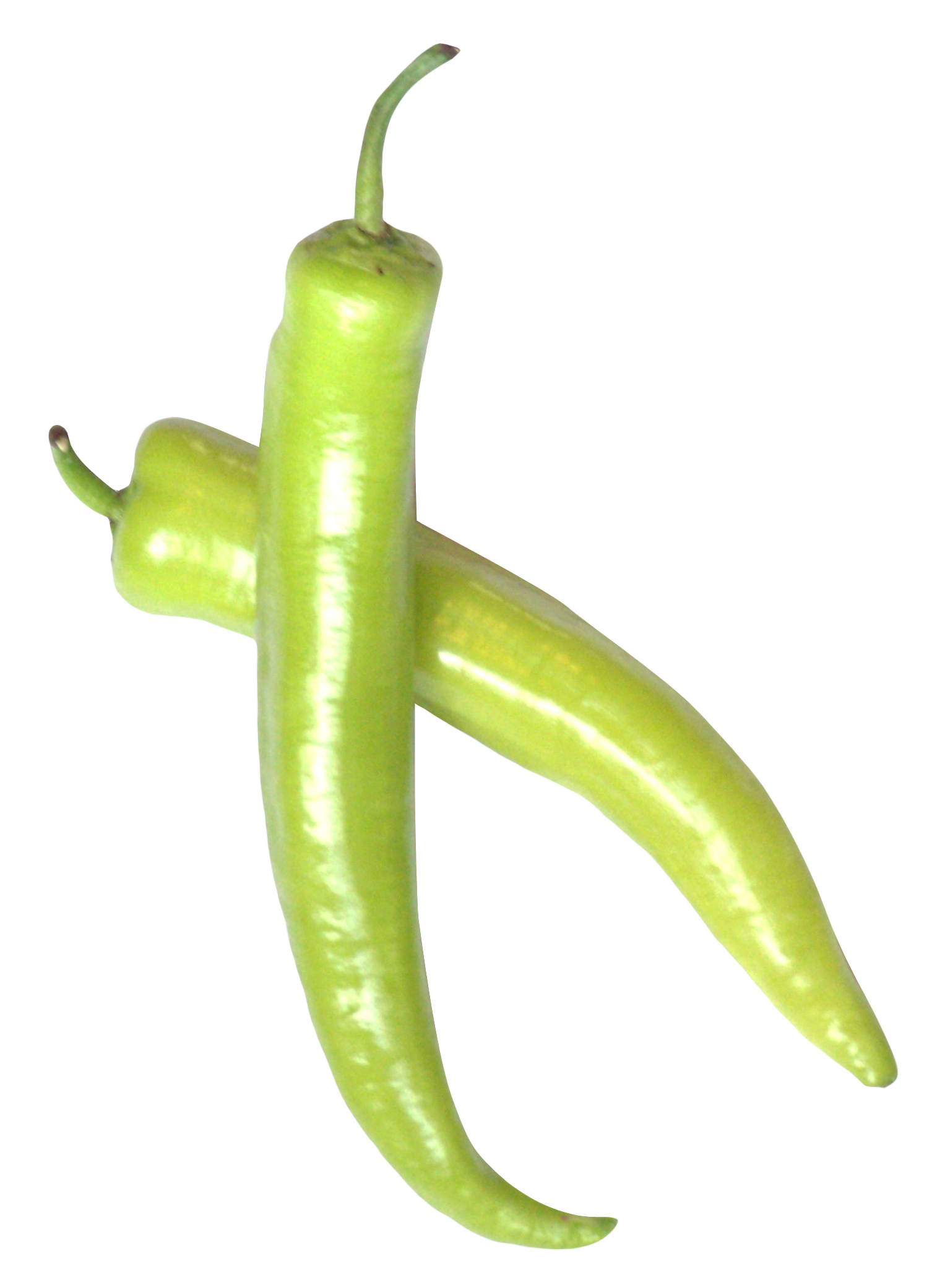 Fresh Chili Green Pepper Photos Transparent PNG Image