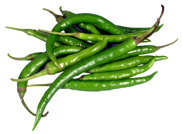 Fresh Chili Pic Green Pepper Transparent PNG Image