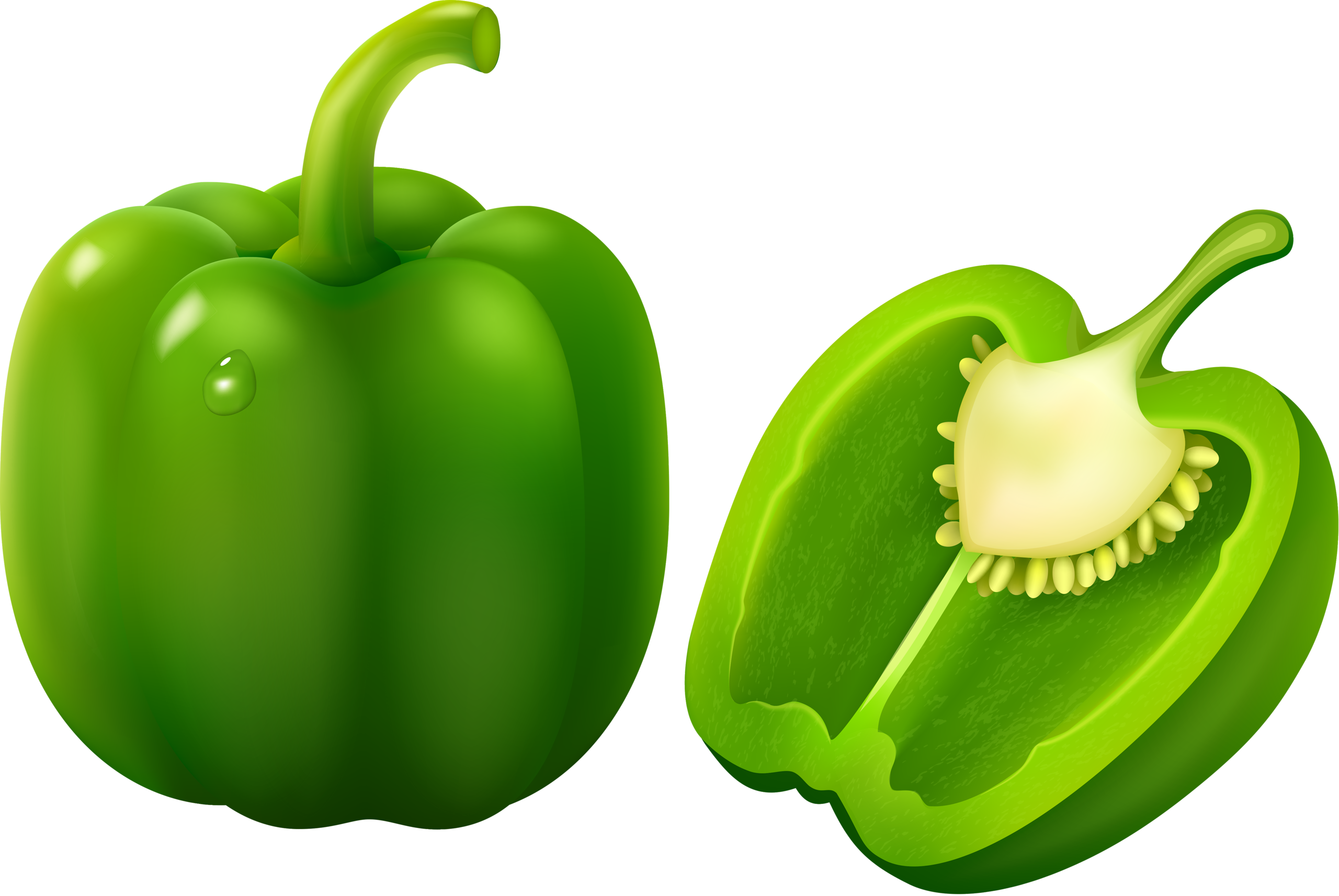 Pepper Vector Green Bell PNG Download Free Transparent PNG Image