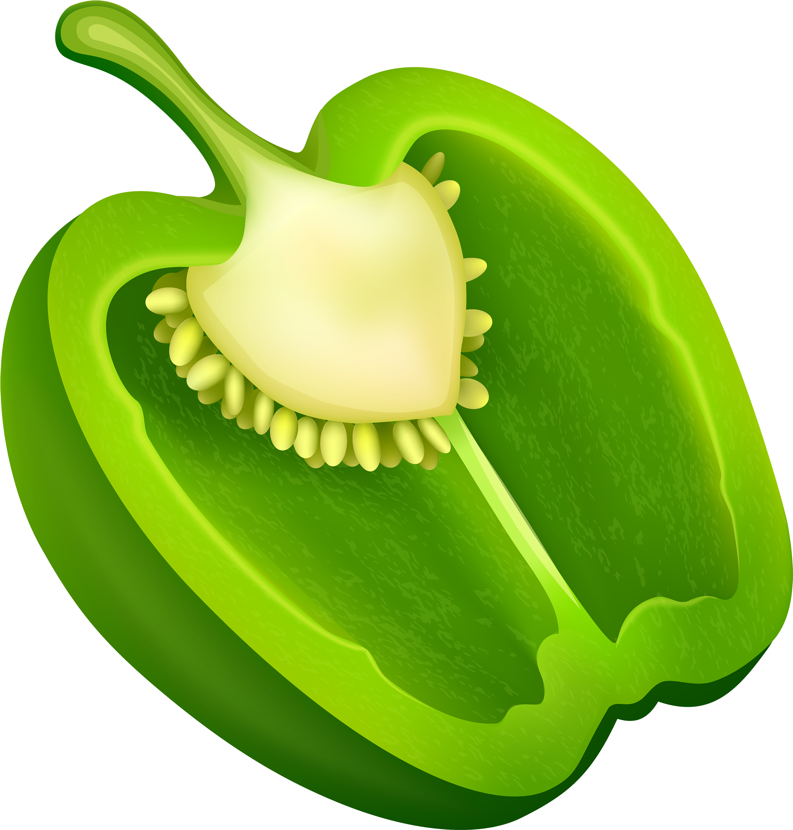 Photos Pepper Vector Green Bell Transparent PNG Image