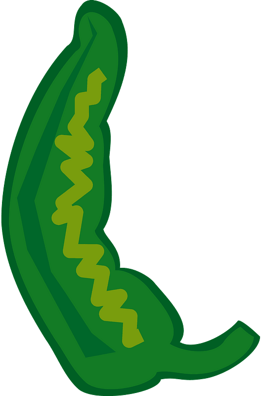 Chili Vector Green Pepper Download Free Image Transparent PNG Image