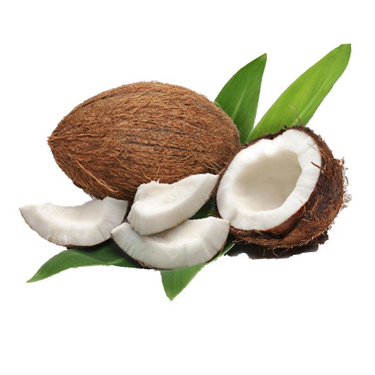 Water Coconut Oil Milk Meat Download HD PNG Transparent PNG Image