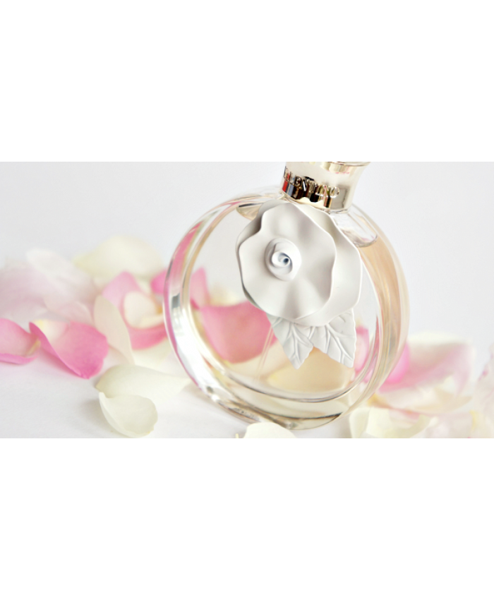 Christian Parfum De Perfume Dior Spa Eau Transparent PNG Image