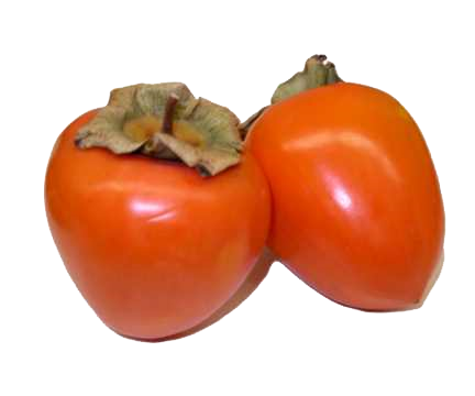 Persimmon Free Download Png Transparent PNG Image