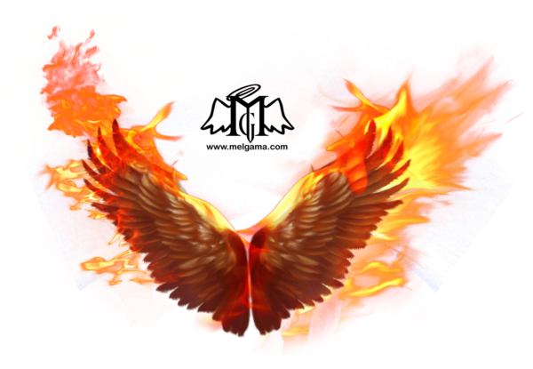 Phoenix Photos Transparent PNG Image