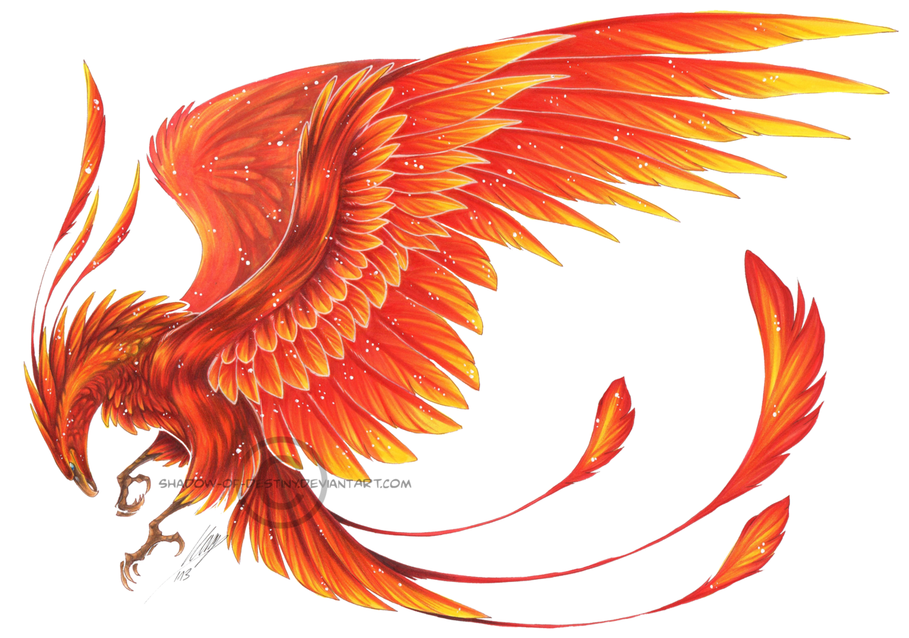 Phoenix Transparent Transparent PNG Image