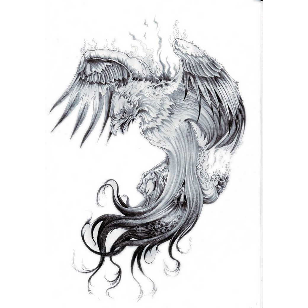 Tattoo Star Sleeve Phoenix Nautical Free Frame Transparent PNG Image