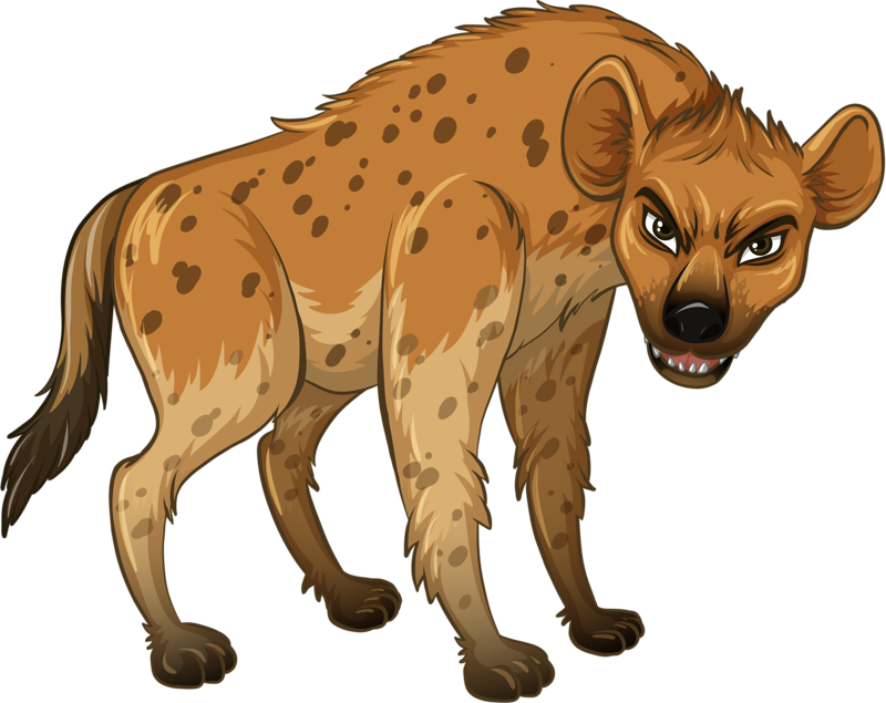 Hyena Wolf Wildlife Ferocious Illustration Free Download Image Transparent PNG Image