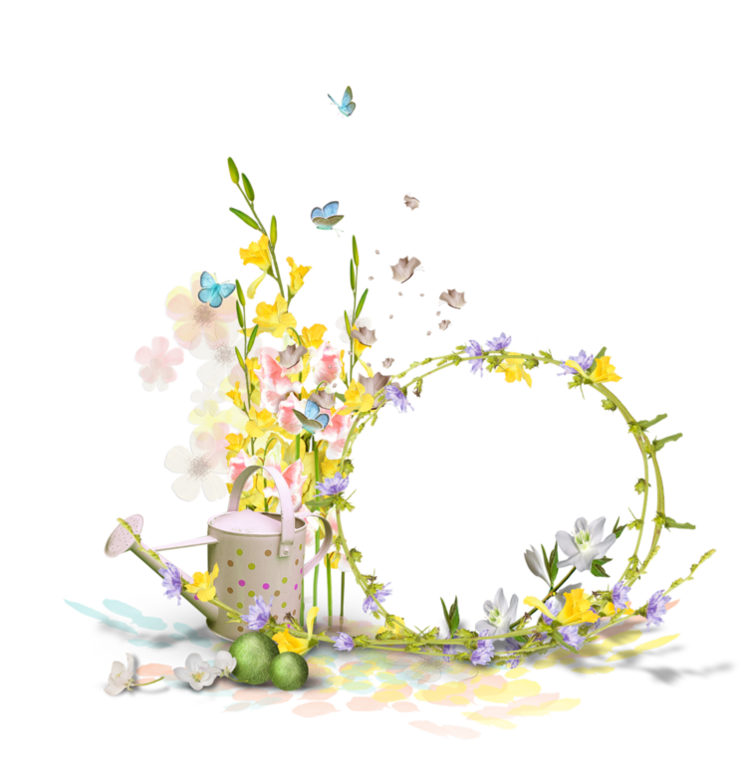 Butterfly Flower Photography Printemps Border Frame Transparent PNG Image