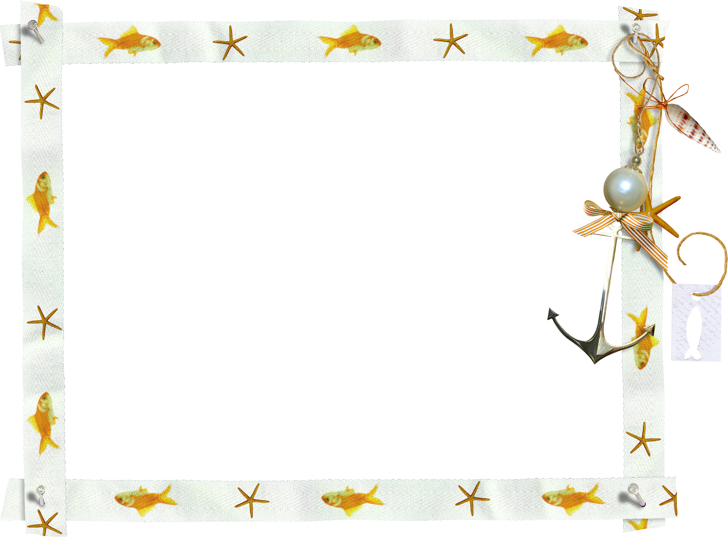 Picture Flower Frame Ocean Photography Wind Transparent PNG Image