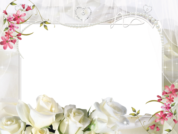 Picture Frame White Photography Flower PNG Image High Quality Transparent PNG Image