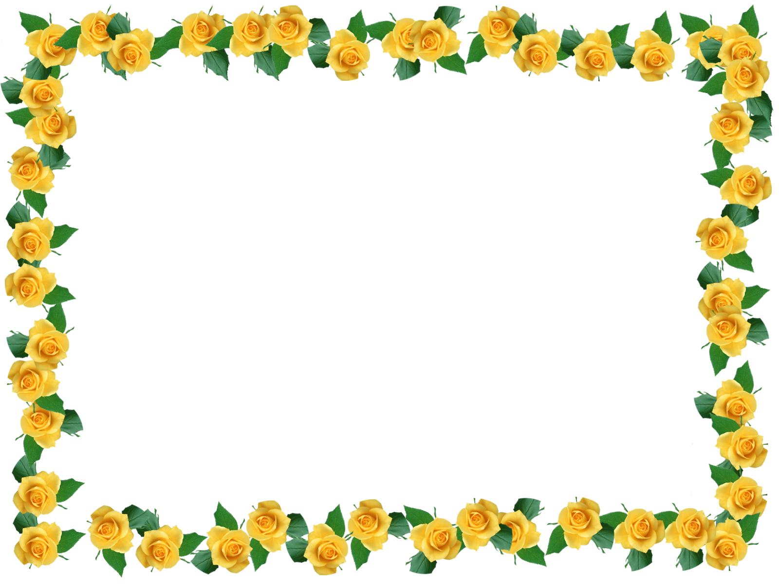 Flower Tokyo Photography Edogawa, Yellow Border Transparent PNG Image