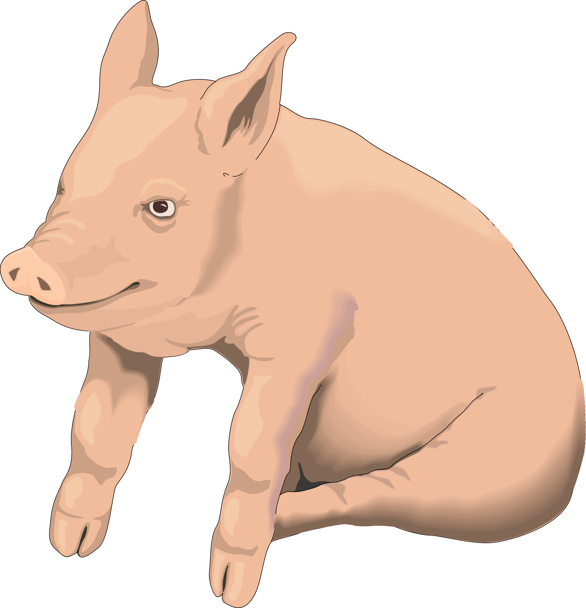 Picture Pig Png Image Transparent PNG Image