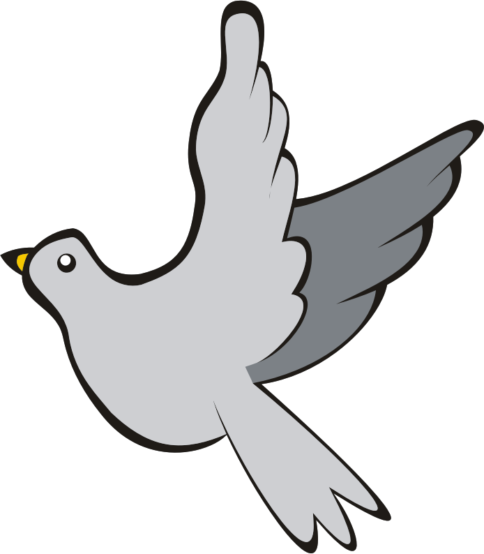 Columbidae Pigeon Free Photo Transparent PNG Image