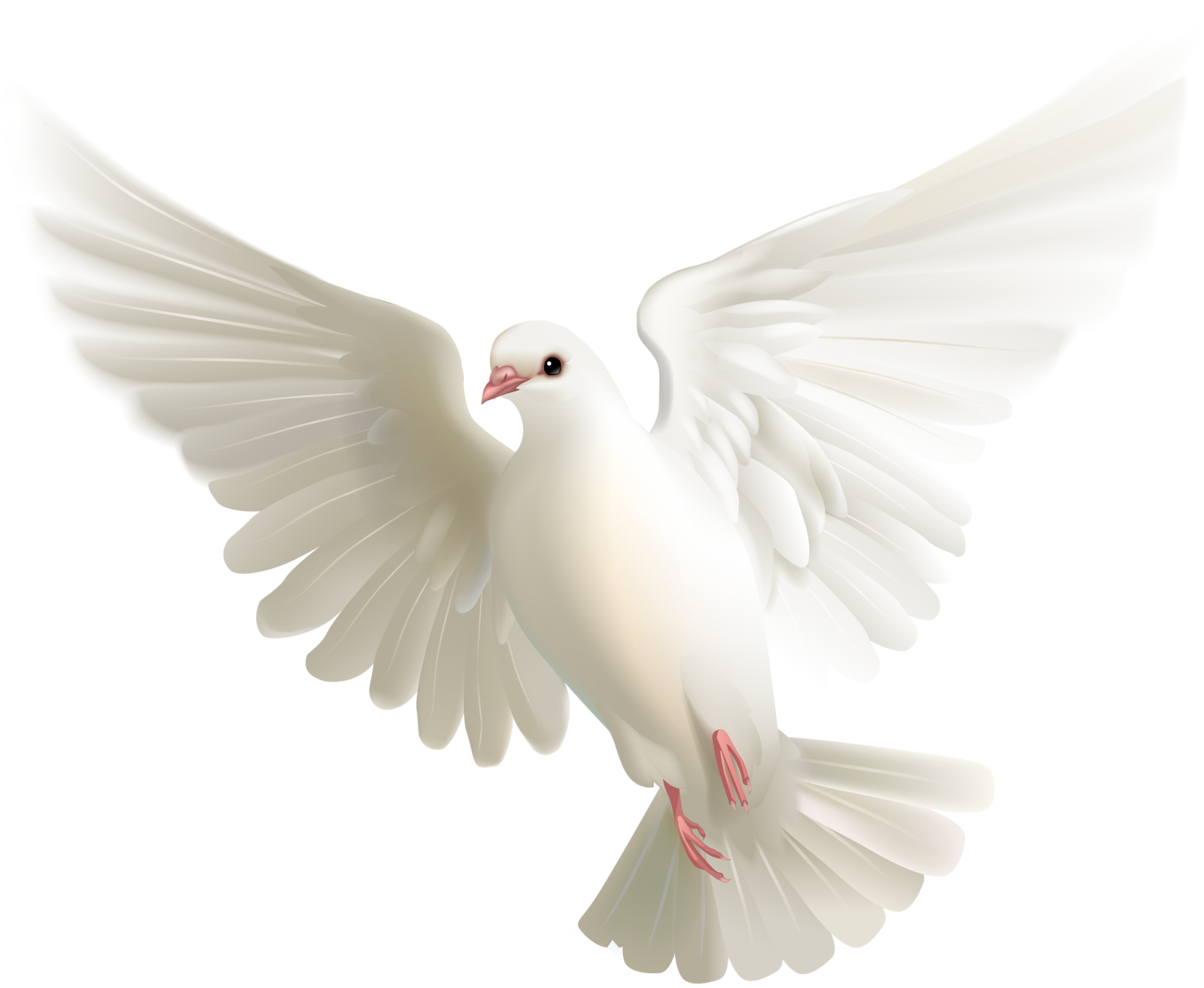 Flying Pigeon Peace Download HD Transparent PNG Image