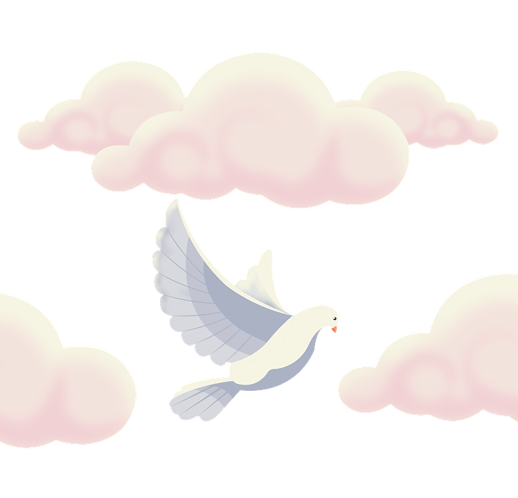 Flying Pigeon Peace Free Transparent Image HQ Transparent PNG Image