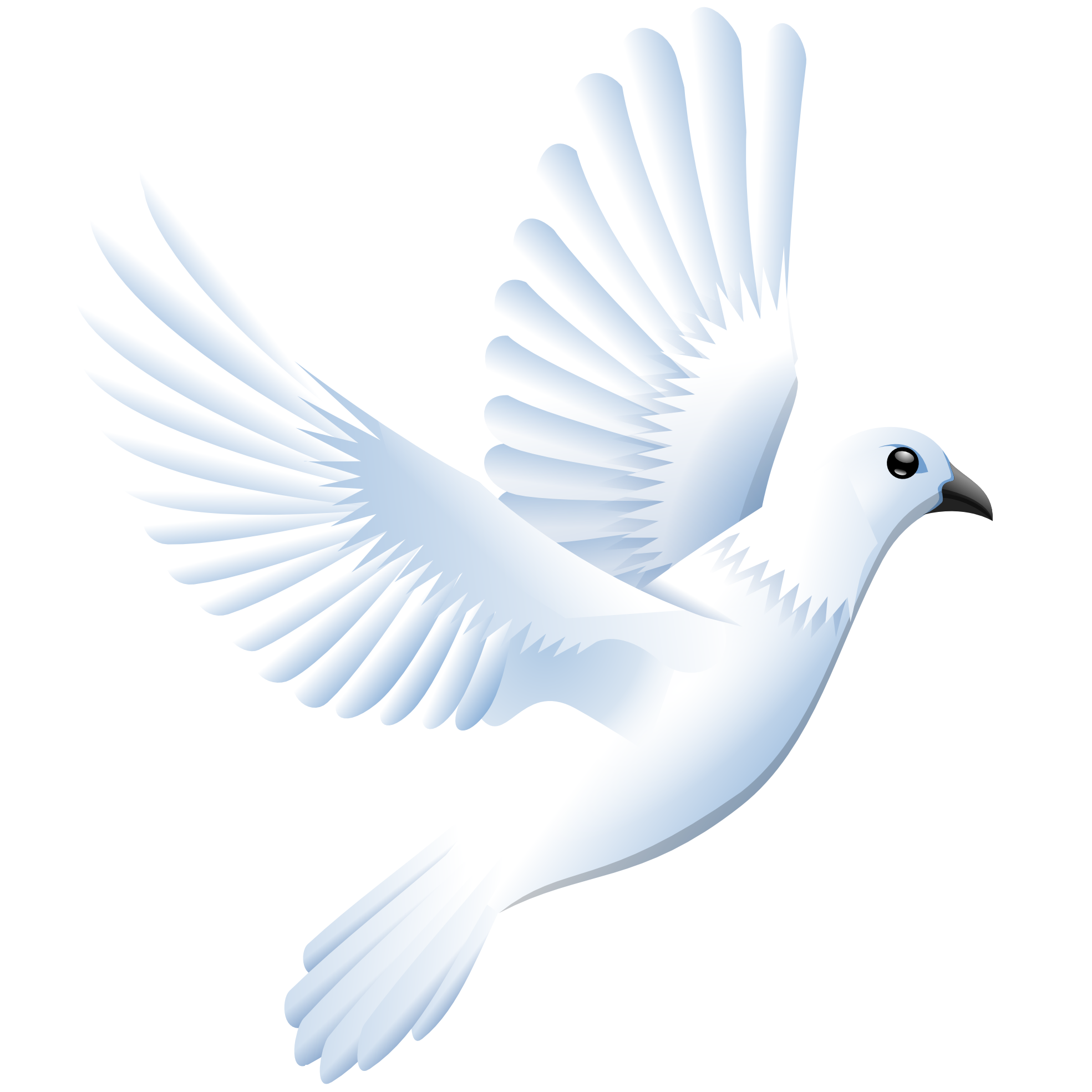 Flying Pigeon Peace Free Transparent Image HQ Transparent PNG Image