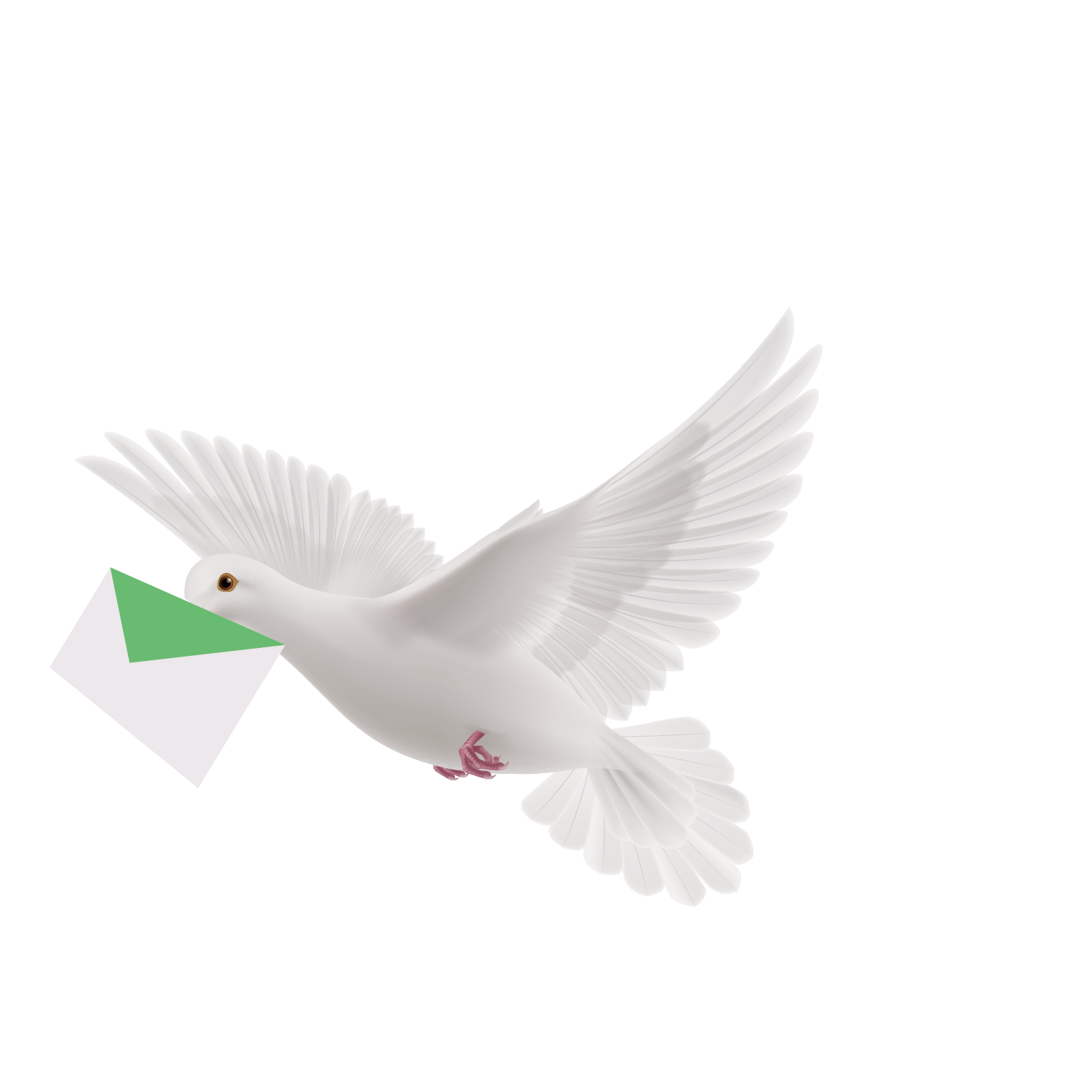 Flying Pigeon Peace HQ Image Free Transparent PNG Image