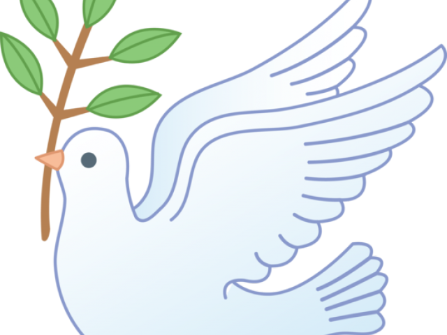 Picture Peace Pigeon Free Clipart HQ Transparent PNG Image