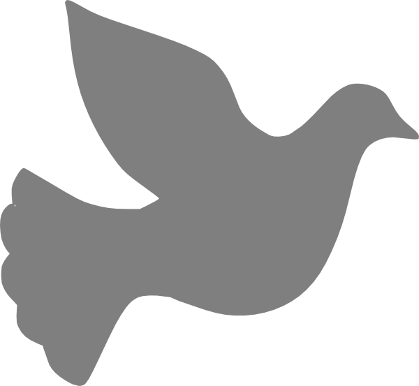 Vector Pigeon Peace Free Clipart HQ Transparent PNG Image