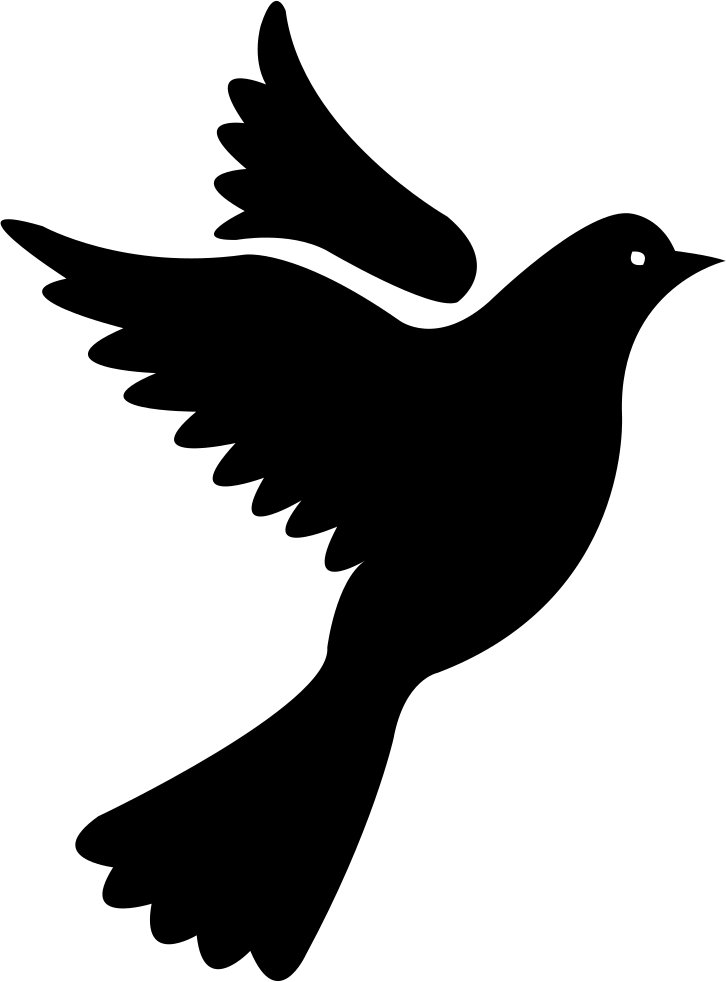 Vector Pigeon Peace Download HD Transparent PNG Image