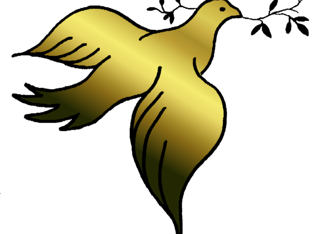 Vector Pigeon Peace Free HQ Image Transparent PNG Image