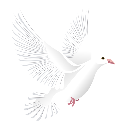 White Flying Pigeon PNG Free Photo Transparent PNG Image