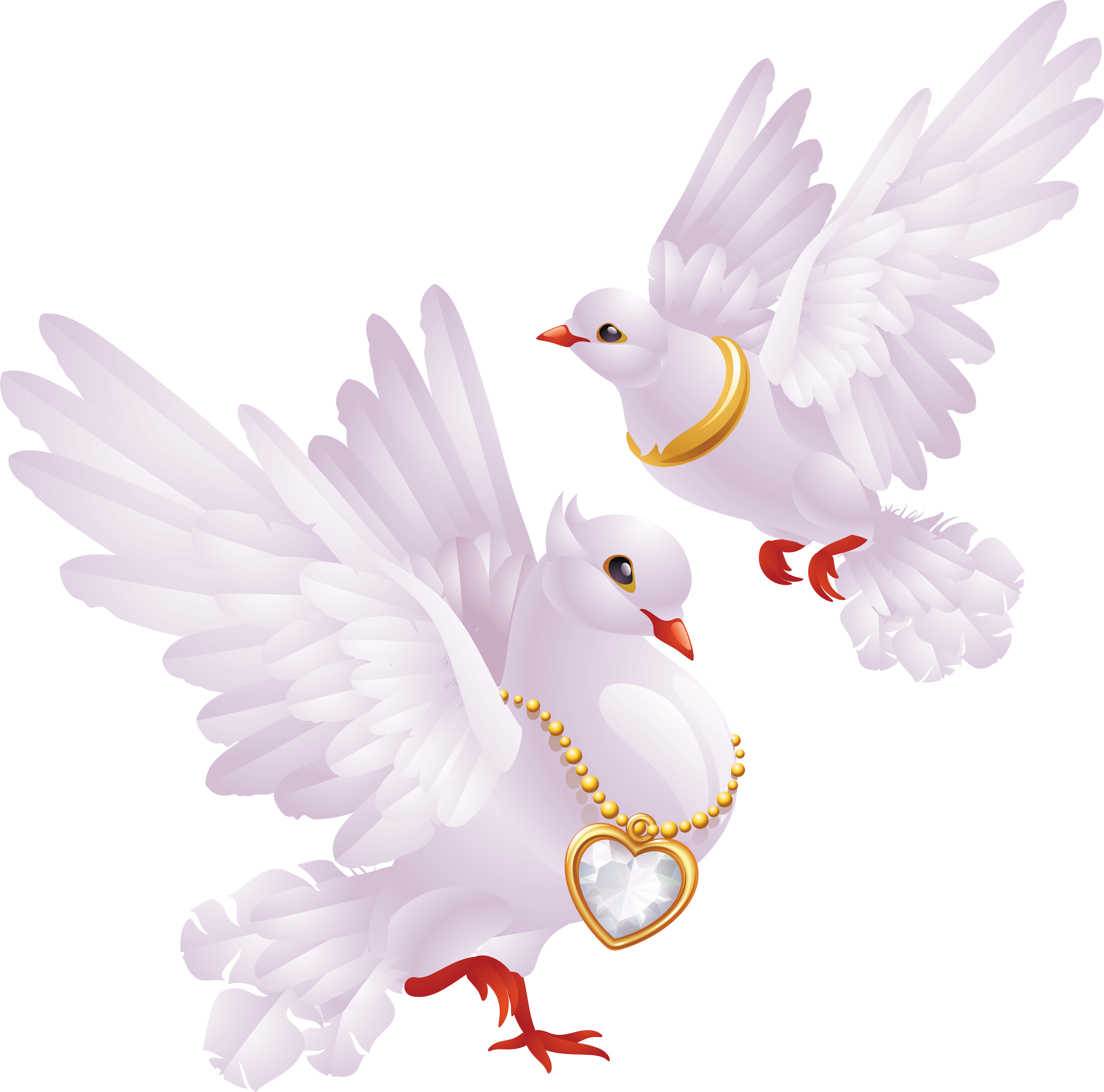 Pigeon Wedding Free Clipart HQ Transparent PNG Image