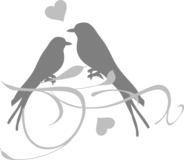 Pigeon Wedding Free Download Image Transparent PNG Image