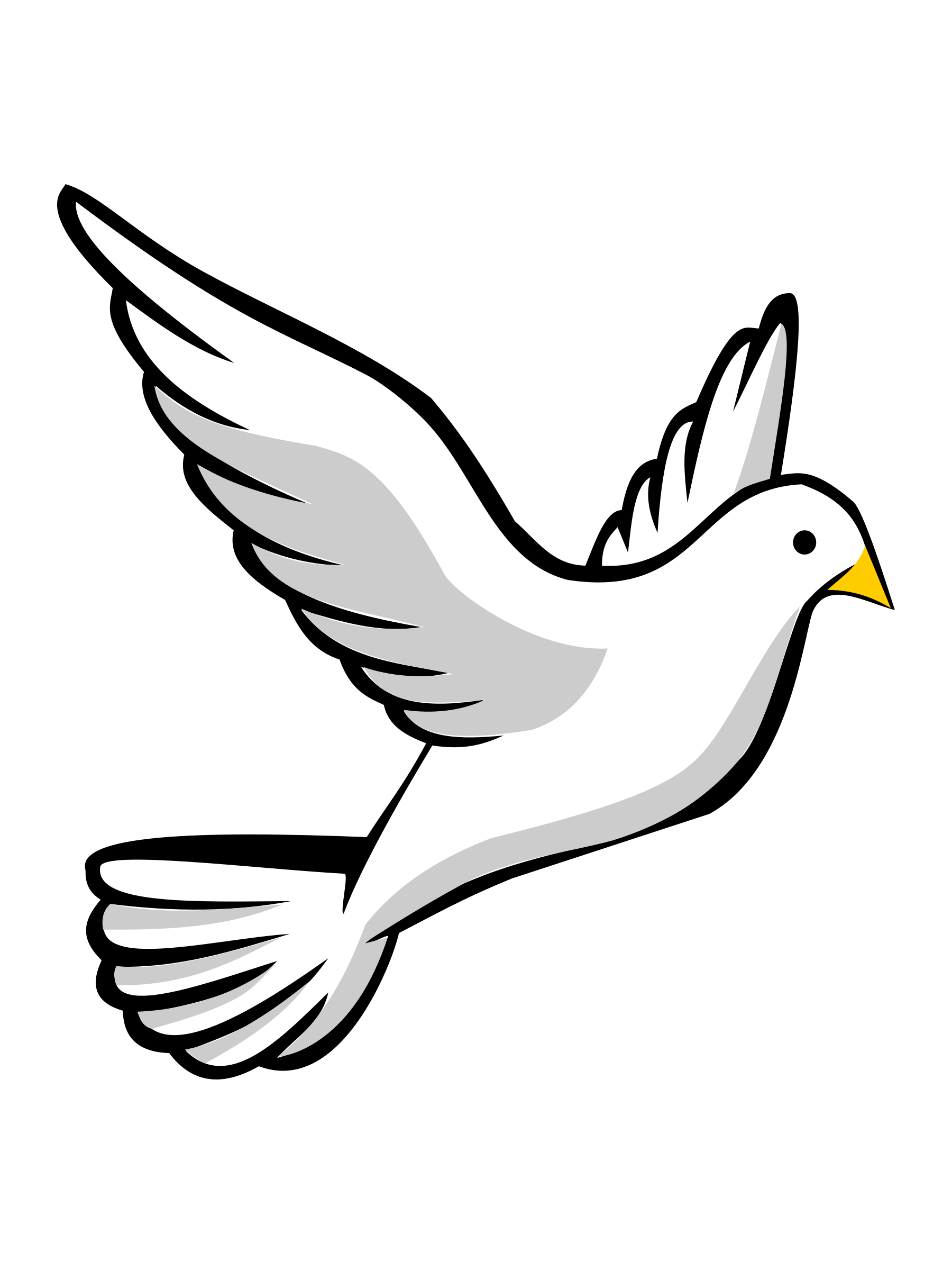 White Pigeon Download HQ Transparent PNG Image